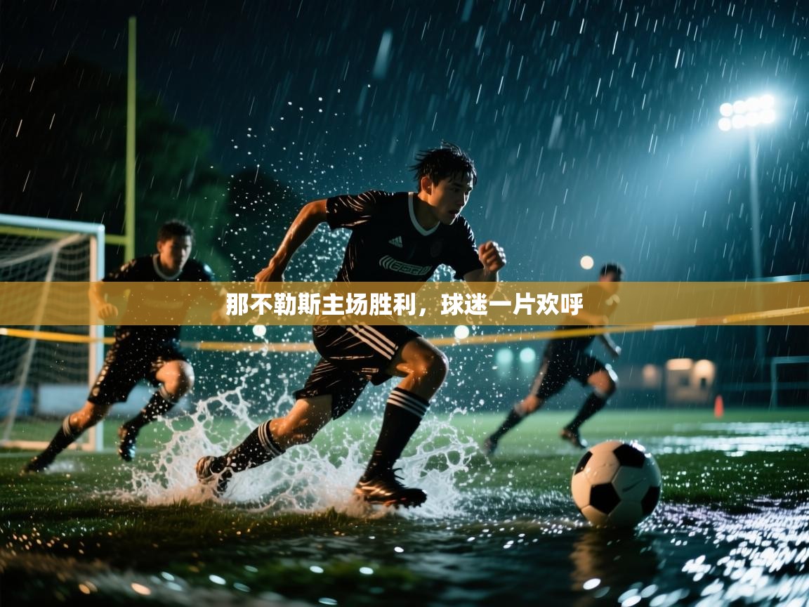 那不勒斯主场胜利,球迷一片欢呼 第2张